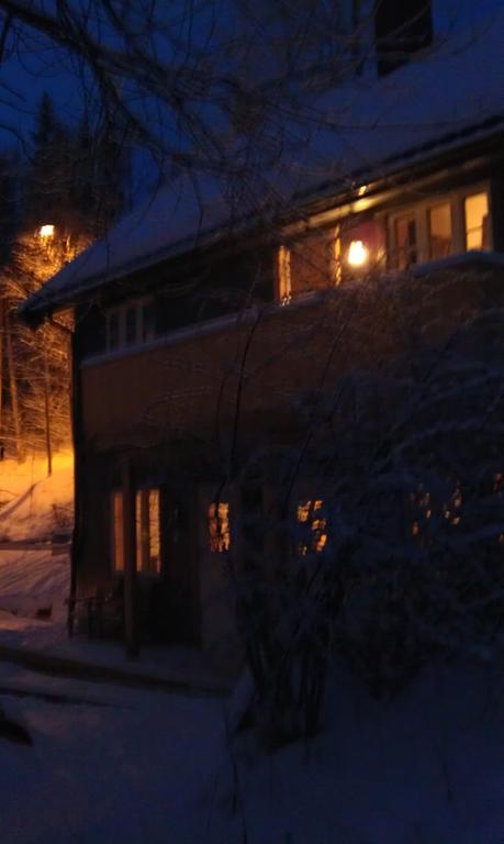 פגרנס Valdres Naturlegvis מראה חיצוני תמונה
